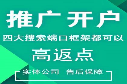 案例深度解析：SEM搜索引擎优化关键步骤